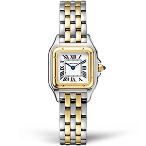 Копия часов Cartier Panthère Secrete Ladies 22 W2PN0006
