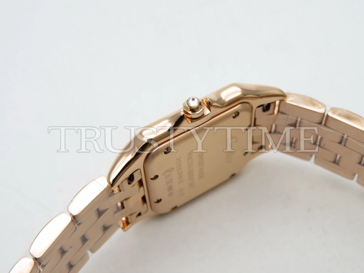 Копия часов Cartier Panthere Secrete De Ladies 27 WJPN0009