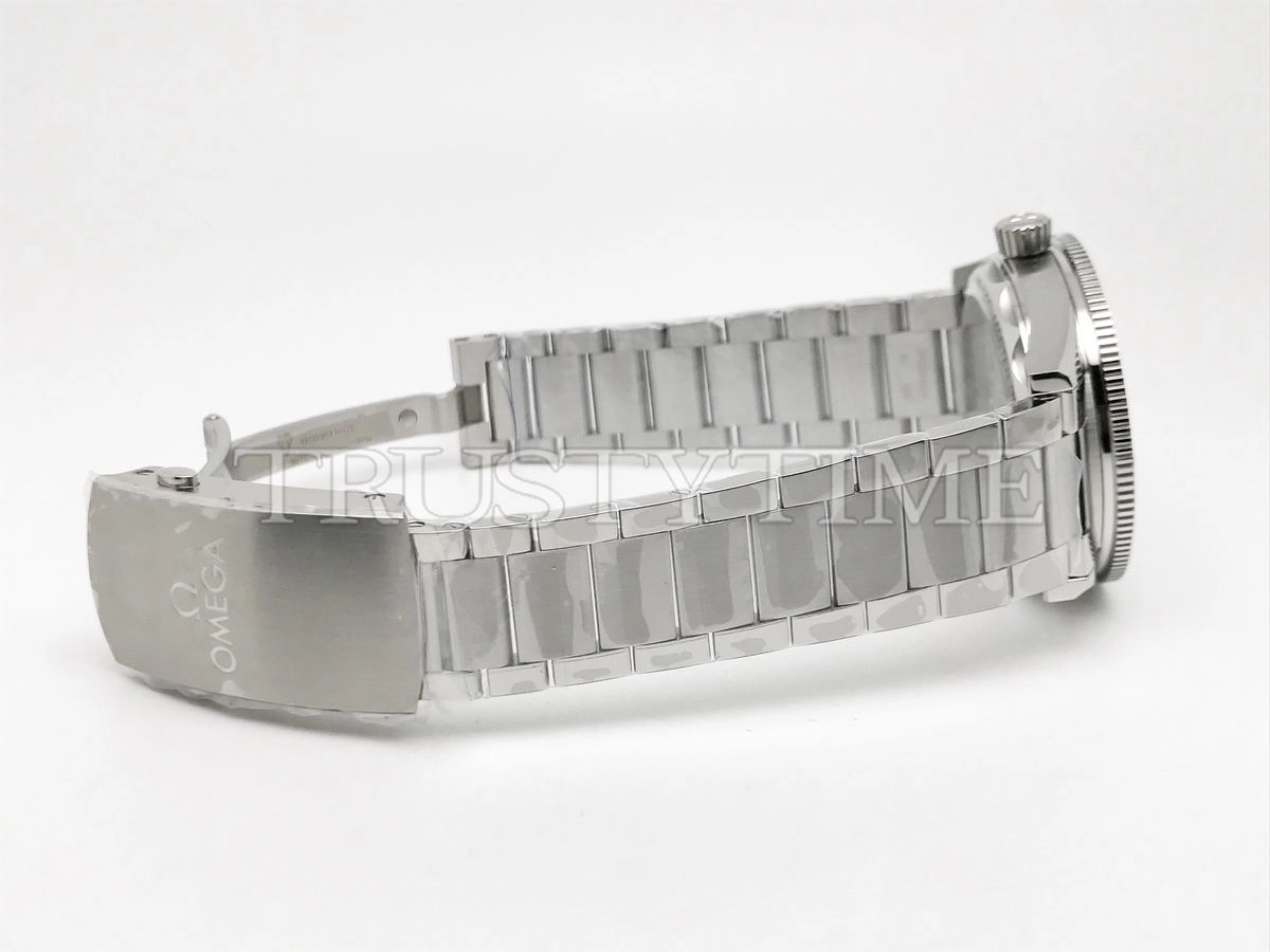 Копия часов Omega Seamaster 300m 41mm 234.30.41.21.01.001