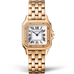 Копия часов Cartier Panthere Secrete De Ladies 27 WJPN0009