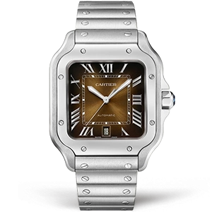 Копия часов Cartier Santos De Cartier WSSA0064