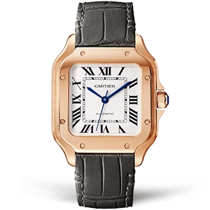 Копия часов Cartier Santos De Cartier 35 WGSA0012