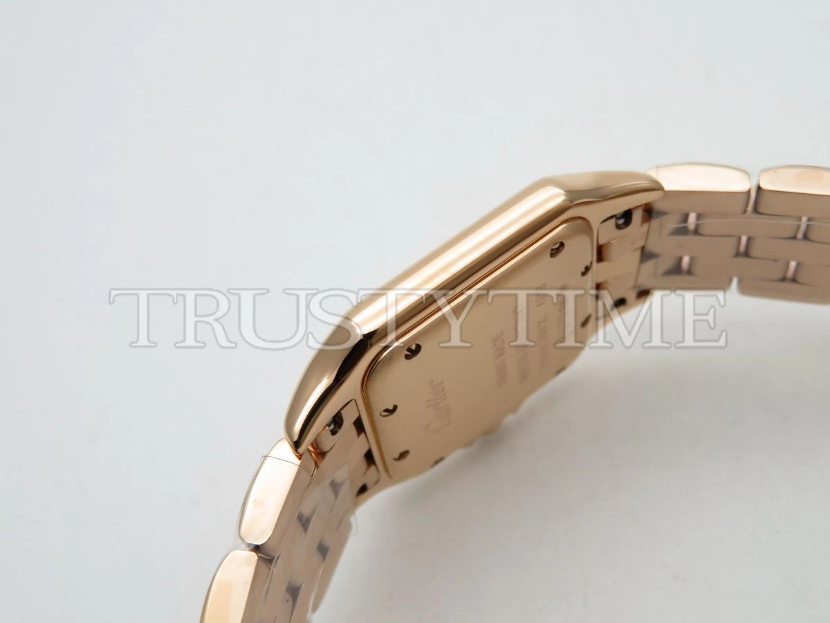 Копия часов Cartier Panthere Secrete De Ladies 27 WJPN0009