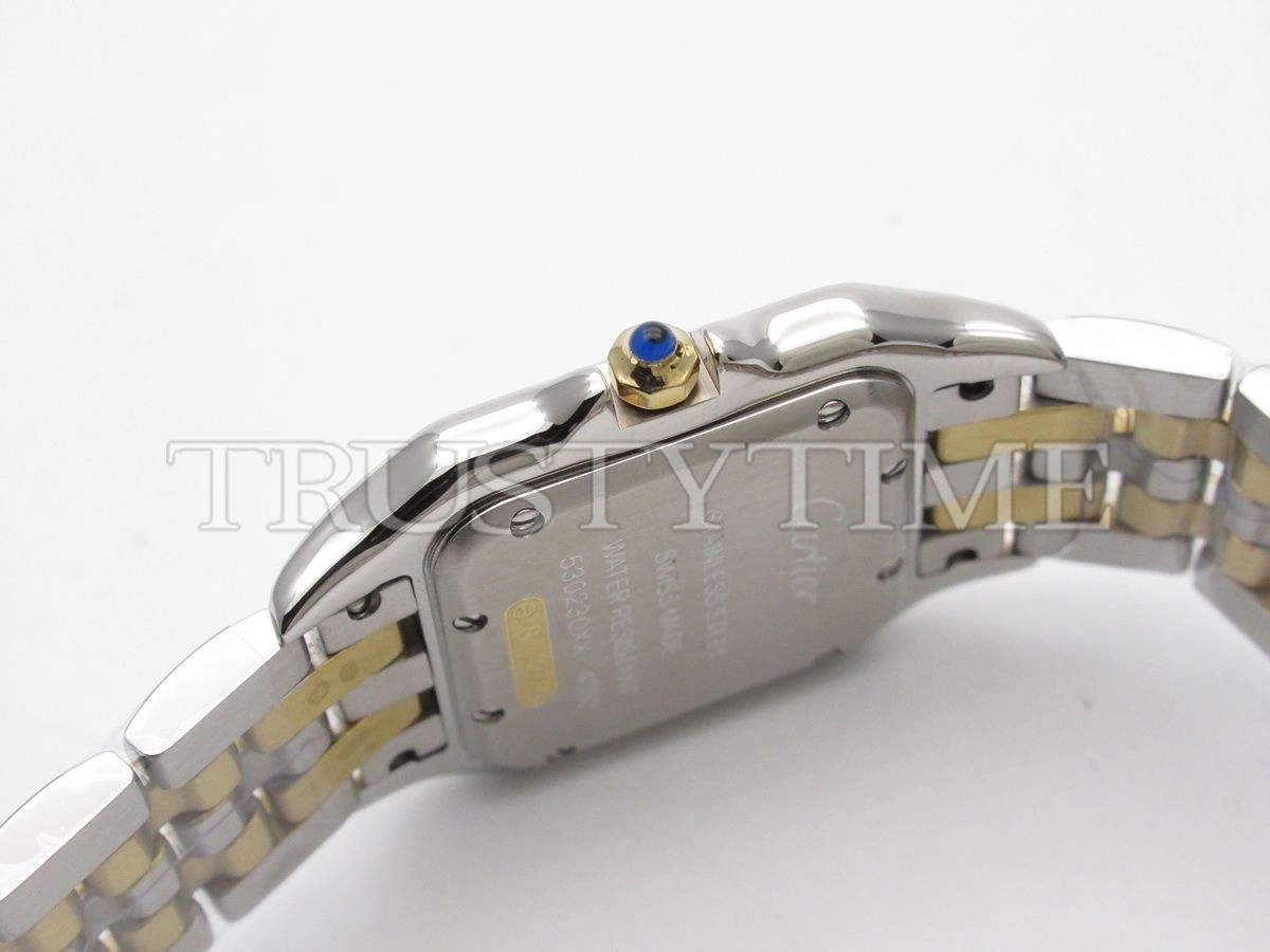 Копия часов Cartier Panthere Secrete De Ladies 27 W2PN0007