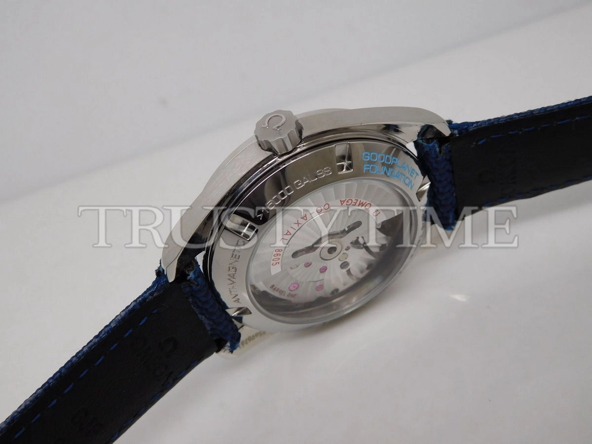Копия часов Omega Seamaster Aqua Terra 150m Master Co-axial GMT 43mm 231.92.43.22.04.001