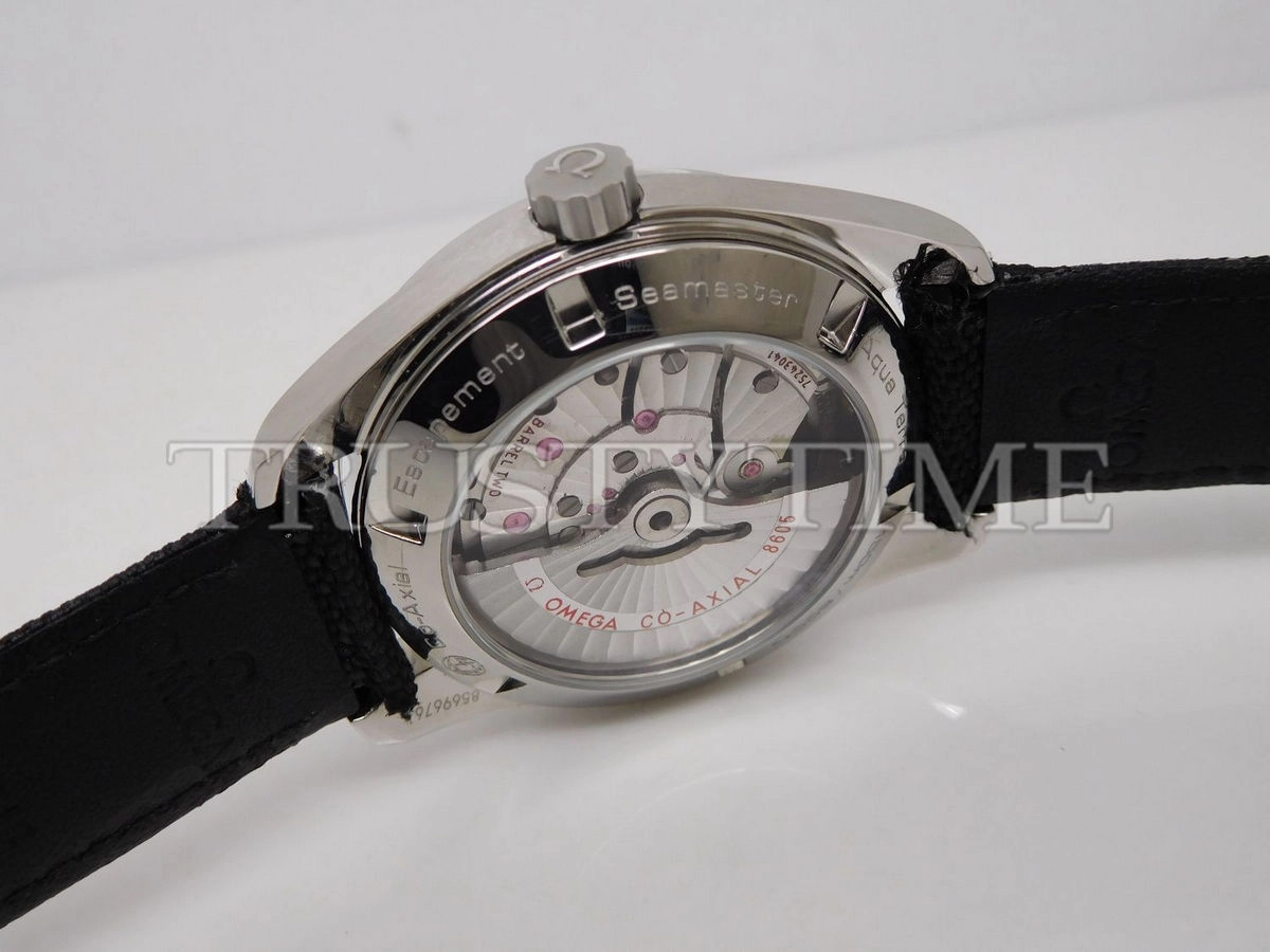 Копия часов Omega Seamaster Aqua Terra 150m Co-Axial Gmt 43mm 231.13.43.22.01.001