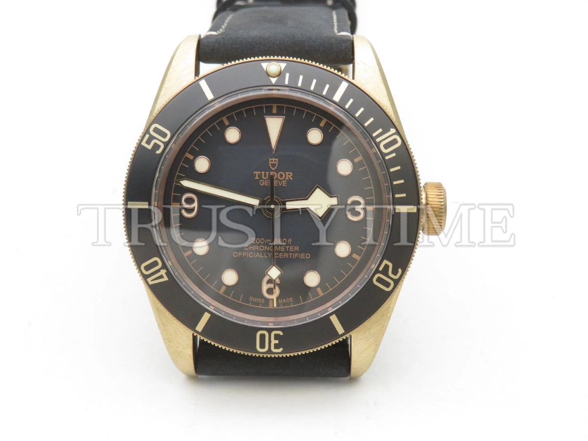 Копия часов Tudor Heritage Black Bay Bronzo 43mm M79250BA-0001
