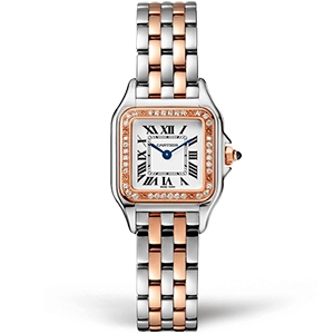 Копия часов Cartier Panthère Secrete Ladies 22 W3PN0006