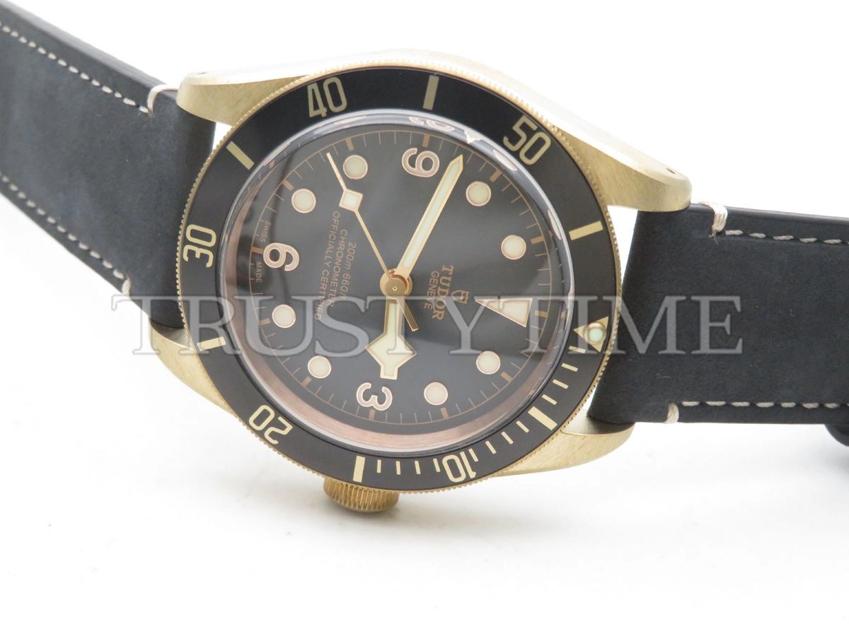 Копия часов Tudor Heritage Black Bay Bronzo 43mm M79250BA-0001