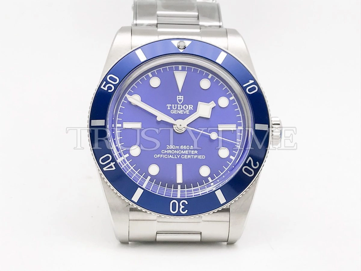 Копия часов Tudor Black Bay 54 37mm M79000B-0001