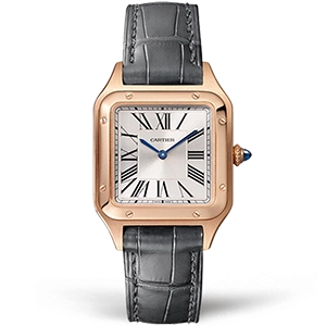 Копия часов Cartier Santos Dumont Small 27 WGSA0022