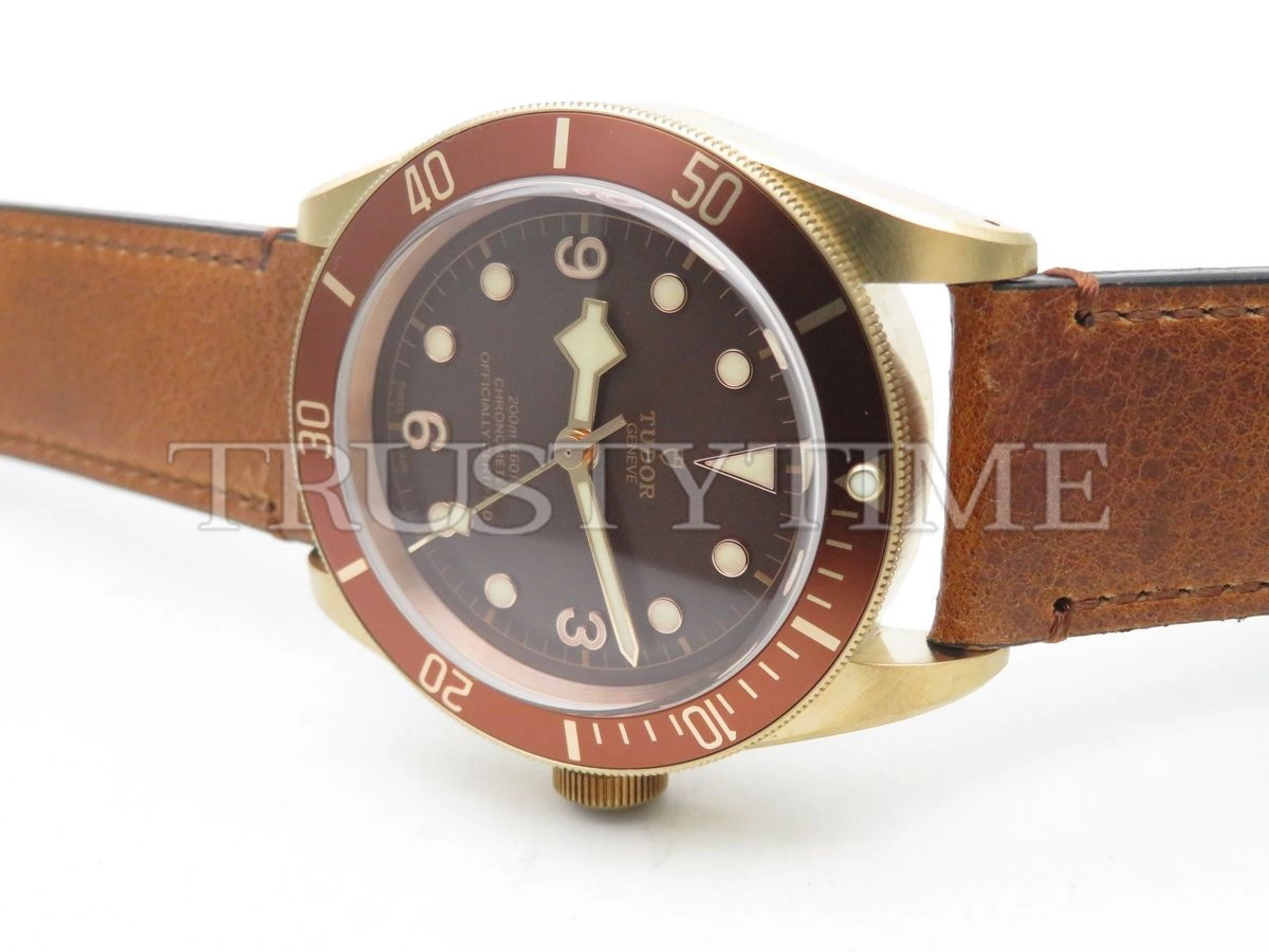 Копия часов Tudor Heritage Black Bay Bronzo 43mm M79250BM-0005