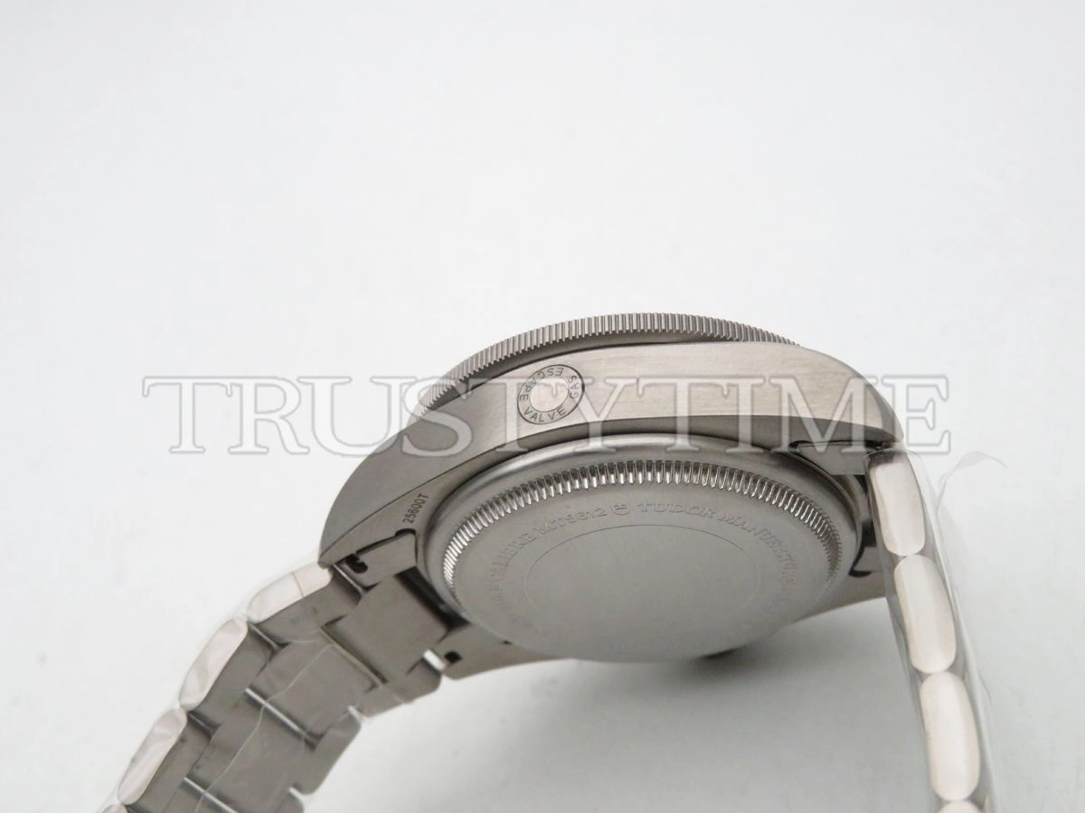 Копия часов Tudor Pelagos Titanium 42mm M25600TN-0001