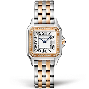 Копия часов Cartier Panthere Secrete De Ladies 27 W3PN0007