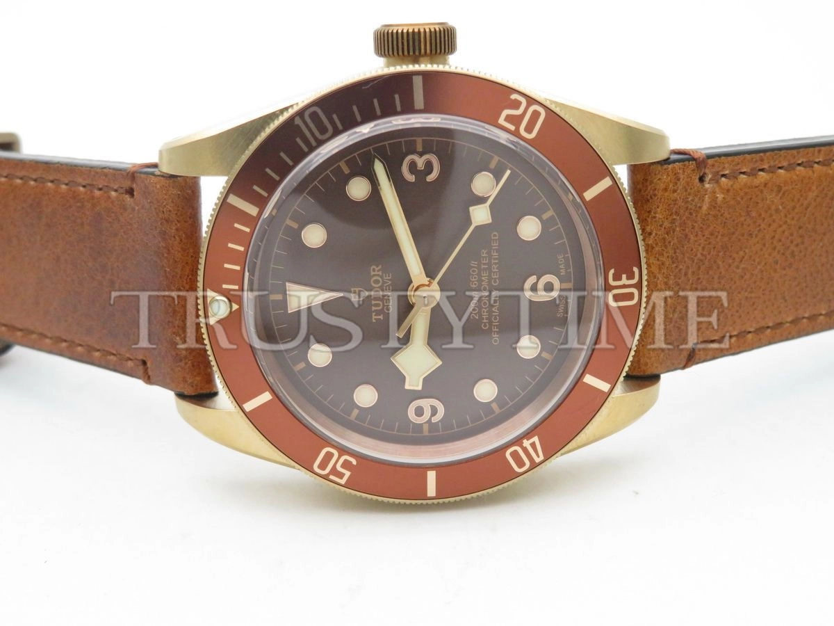 Копия часов Tudor Heritage Black Bay Bronzo 43mm M79250BM-0005