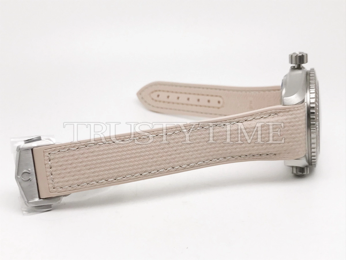 Копия часов Omega Seamaster Planet Ocean 600m 43,5mm 215.32.44.21.09
