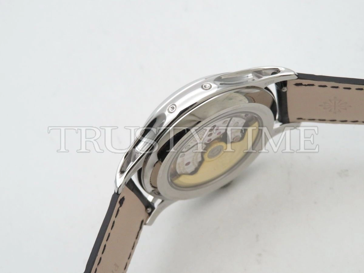 Копия часов Patek Philippe Complications Annual Calendar 40mm 5205G-001