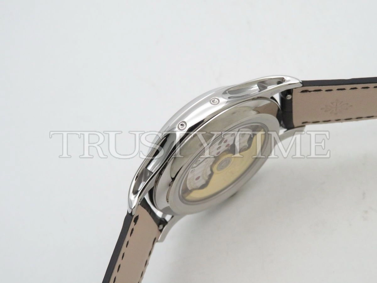 Копия часов Patek Philippe Complications Annual Calendar 40mm 5205G-013