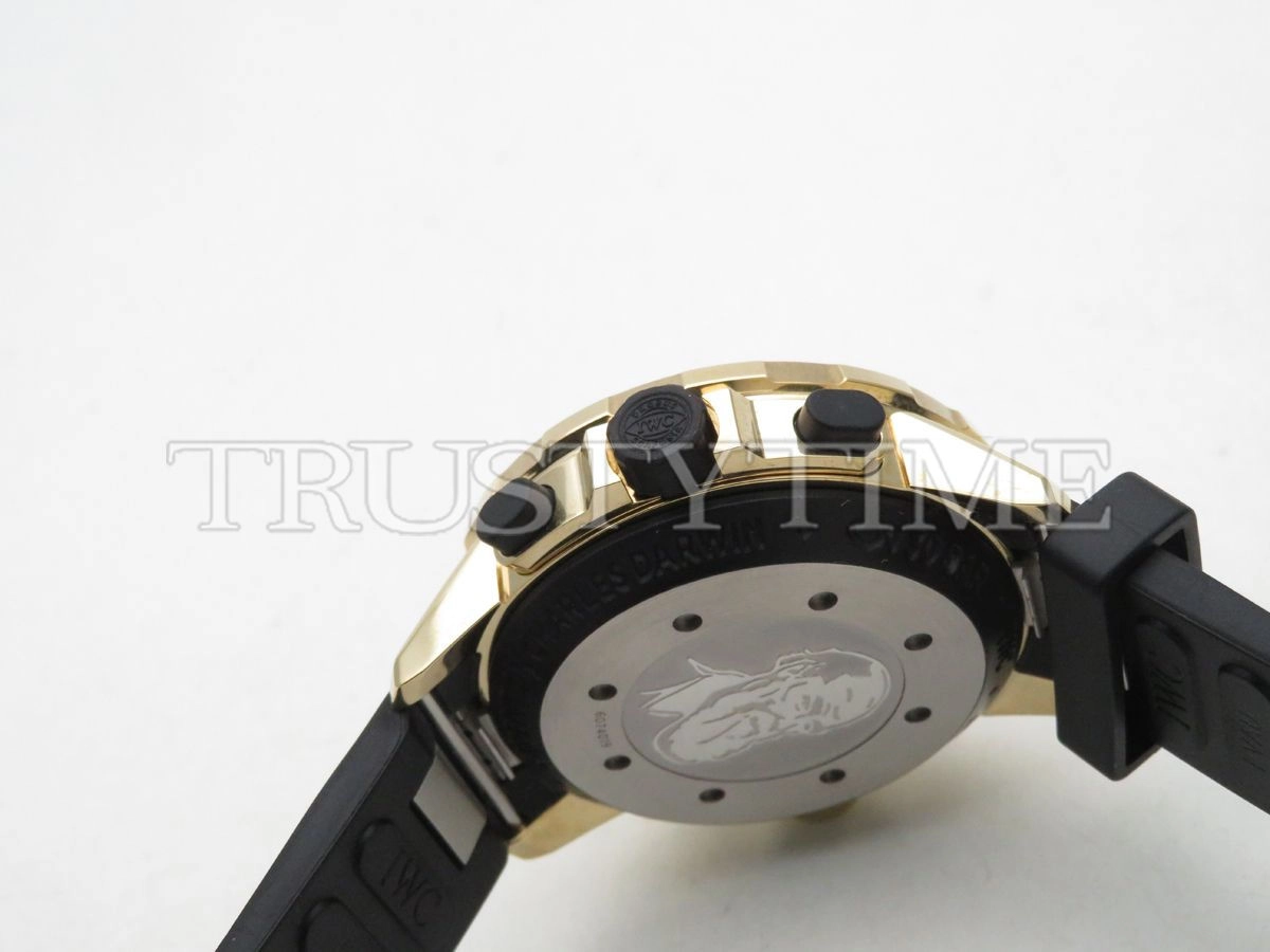 Копия часов IWC Aquatimer Chronograph Bronzo 44mm IW379503