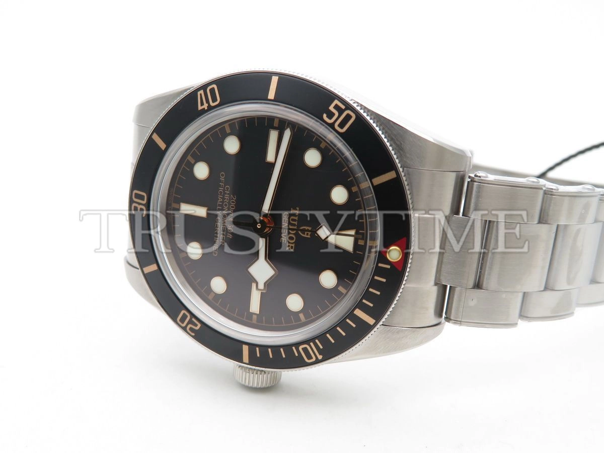 Копия часов Tudor Heritage Black Bay 39mm M79230N-0009