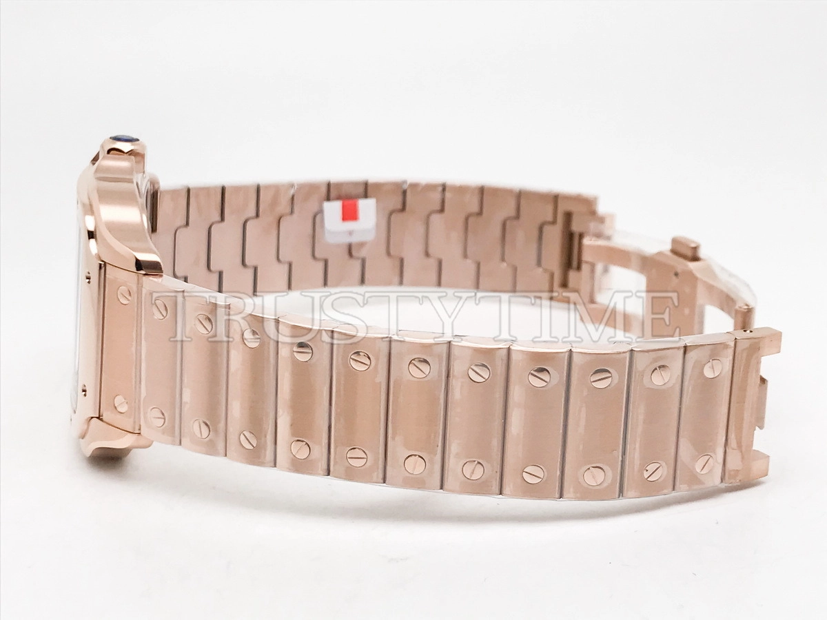 Копия часов Cartier Santos de Cartier Large Skeleton 40mm WHSA0016