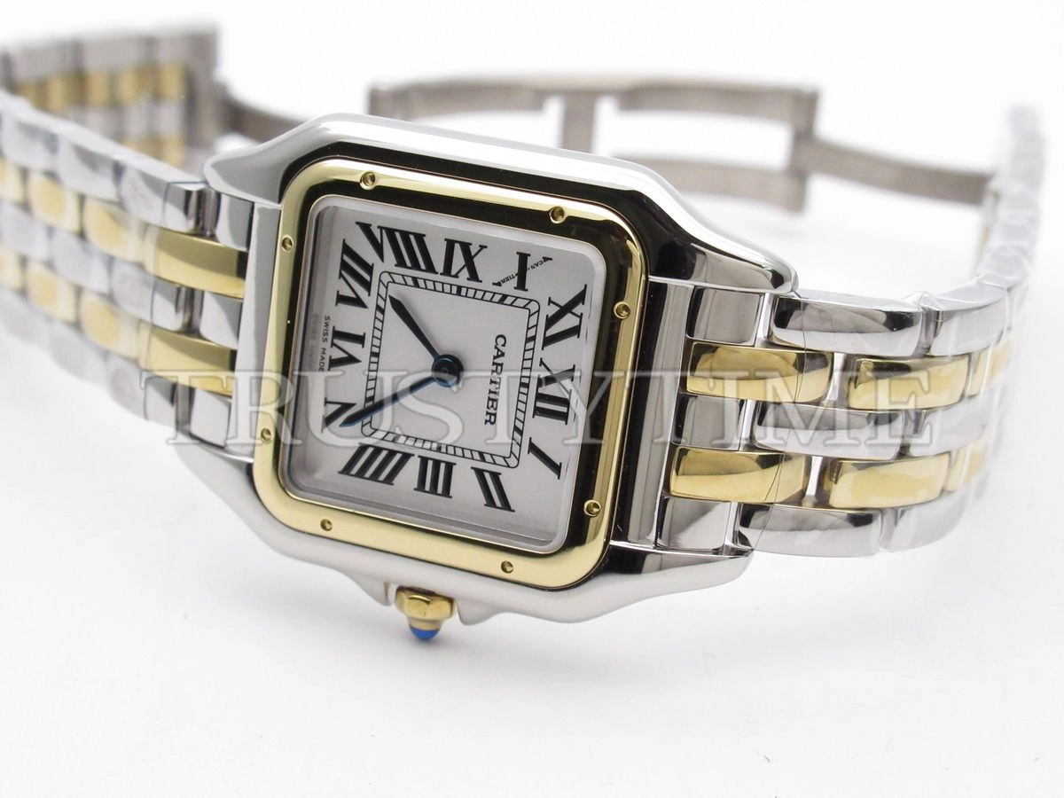 Копия часов Cartier Panthere Secrete De Ladies 27 W2PN0007