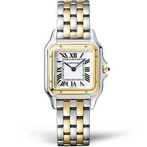 Копия часов Cartier Panthere Secrete De Ladies 27 W2PN0007