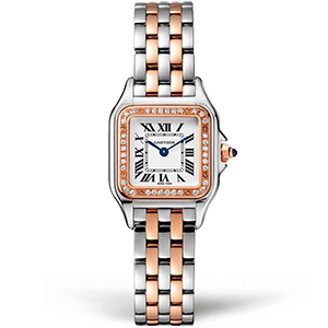 Cartier Panthère Secrete Ladies 22 W3PN0006