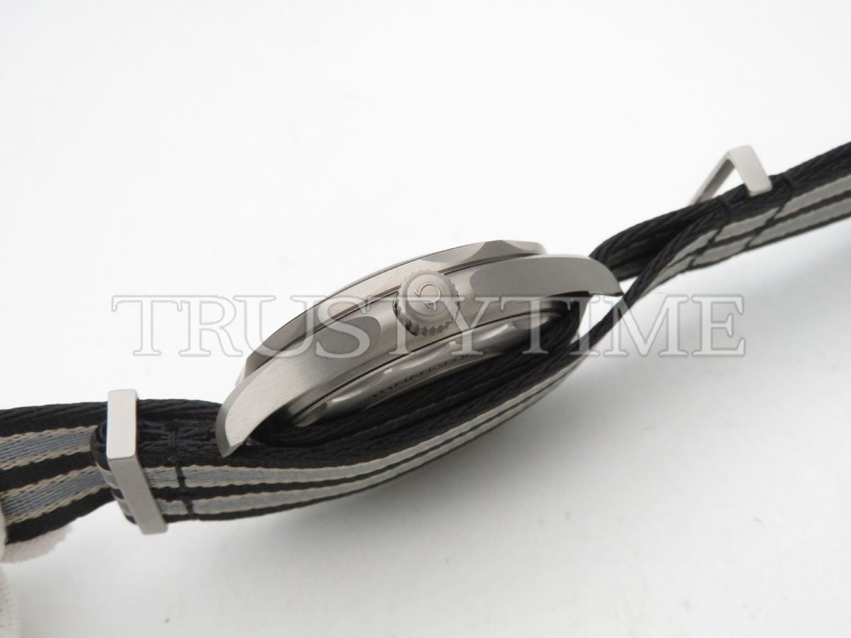 Копия часов Omega Seamaster Diver 300m Co Axial Master Chronometer «007 Edition» 42mm 210.92.42.20.01.001 Арт.OM-0802