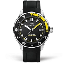 Aquatimer