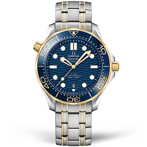 Omega Seamaster Diver 300m Co-axial Chronometer 42mm 210.20.42.20.03.001