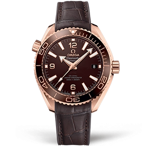 Omega Seamaster Planet Ocean 600m Co‑Axial Master Chronometer 39,5 mm 215.63.40.20.13.001